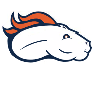 Denver Broncos Fat Logo DIY iron on transfer (heat transfer)